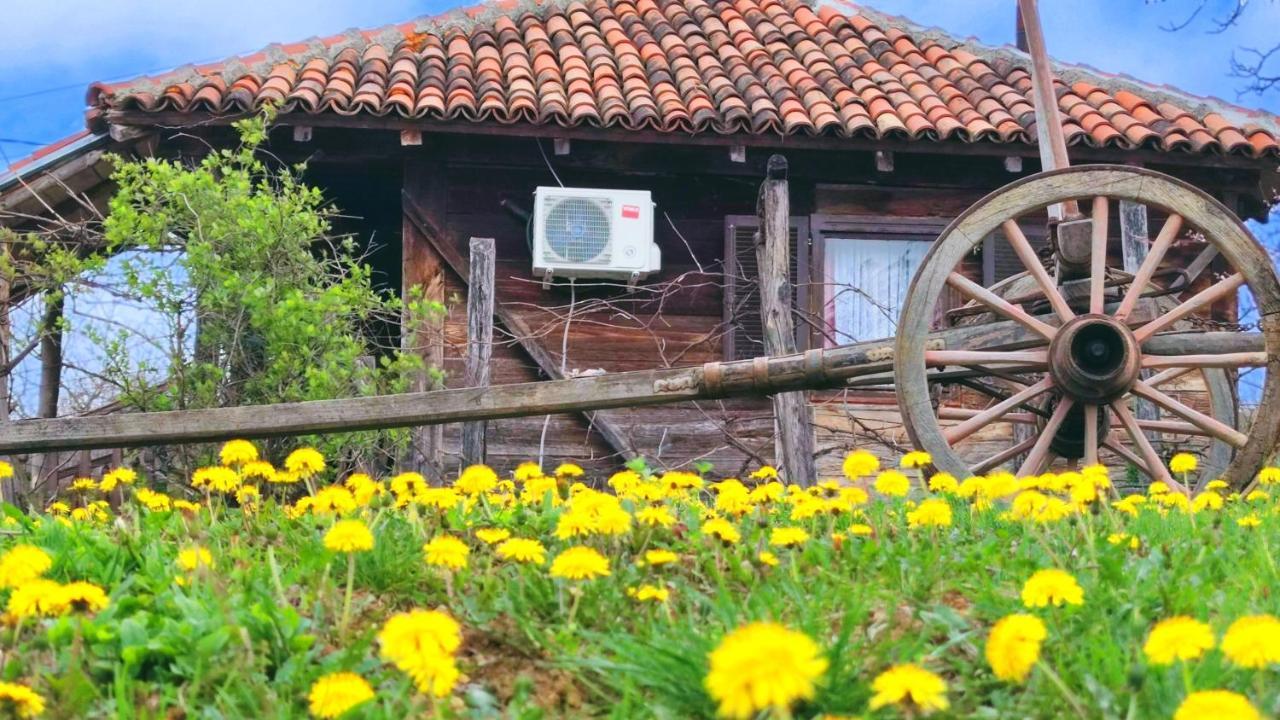 Smestaj Durungara Jovic Opština Opština Petrovac na Mlavi Exterior foto